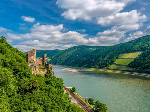 Rhine Valley day trip boat cruising past vineyard terraces near Rüdesheim